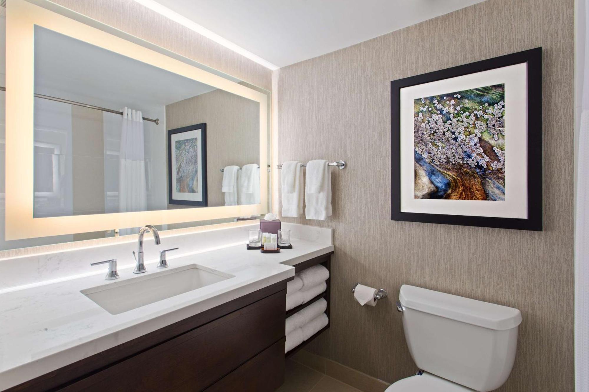 Embassy Suites By Hilton Orlando International Drive Convention Center Williamsburg Экстерьер фото