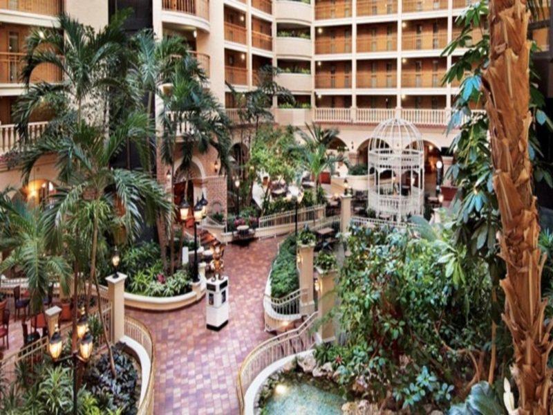 Embassy Suites By Hilton Orlando International Drive Convention Center Williamsburg Экстерьер фото