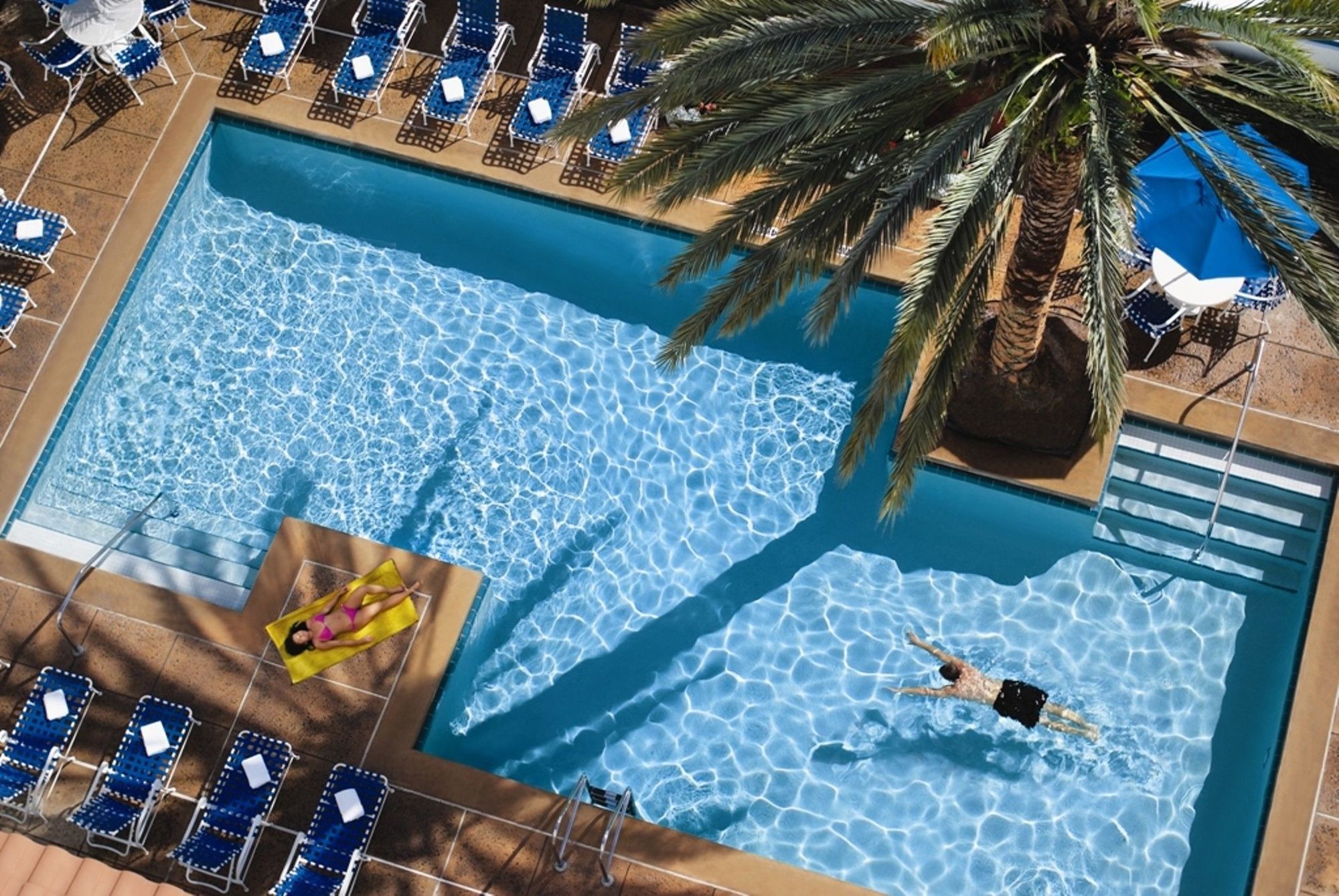 Embassy Suites By Hilton Orlando International Drive Convention Center Williamsburg Экстерьер фото